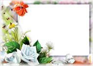 طرح لایه باز قاب عکس و فریم برای فتوشاپ با موضوع گل (Flower frame)